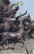 United States Team Penning Association's Spring Round Up Comes to...